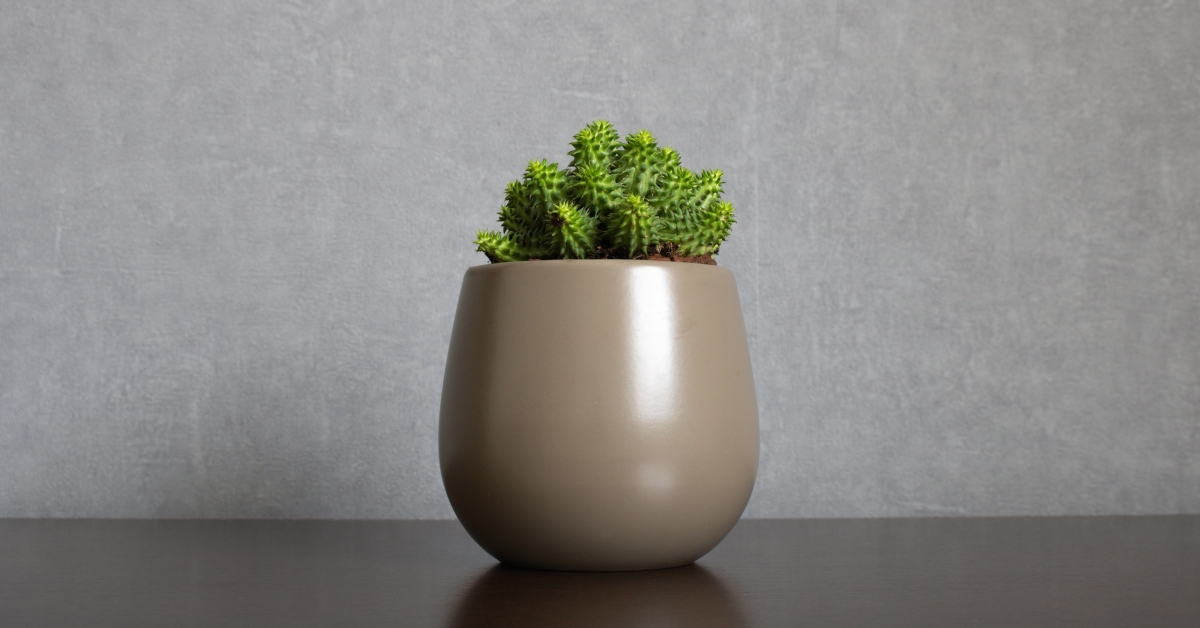 Sober Curious Movement Chrissy Teigen and Gen Z Lead Mindful Drinking in 2025